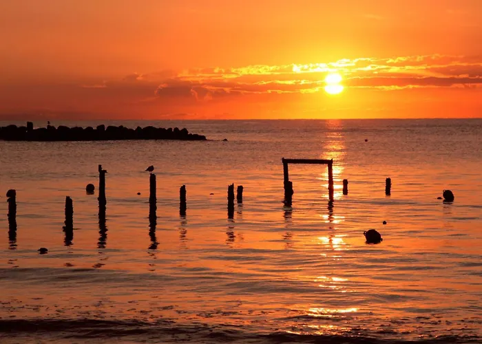 Mangrovie 2 By Interhome Casa vacanze *